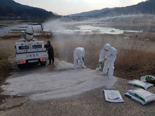 농림축산식품부가 야생조류 분변에서 조류인플루엔자(AI) 항원을 검출한 광주 광산구 황룡강변에서  지난달 17일 구청 직원들이 방역하고 있다. 연합뉴스 제공.